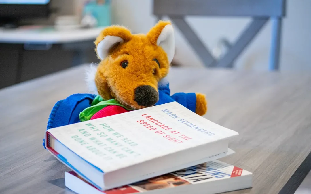 Blog - Educational Inspiration What Is the Writing Rope?